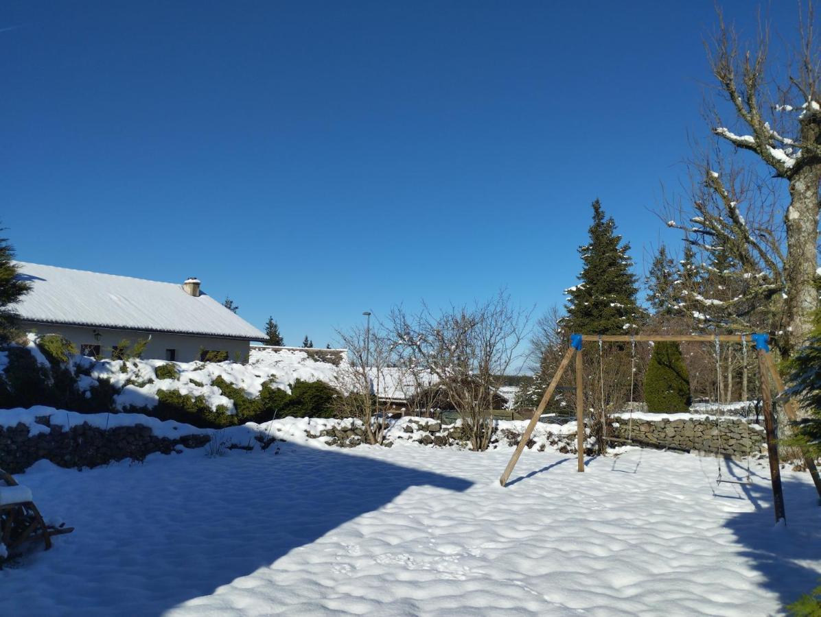 Studio "Les Planchettes" Fay-sur-Lignon 外观 照片